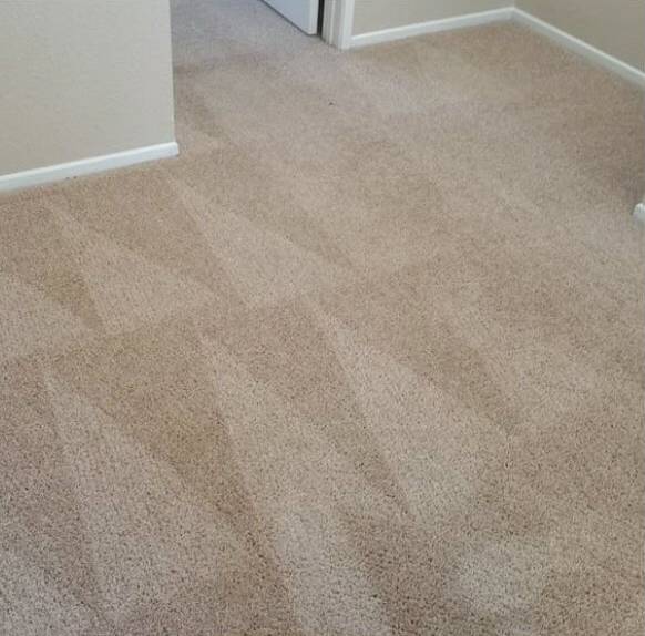 pet-urine-cleaning-upland-before-and-after (1)