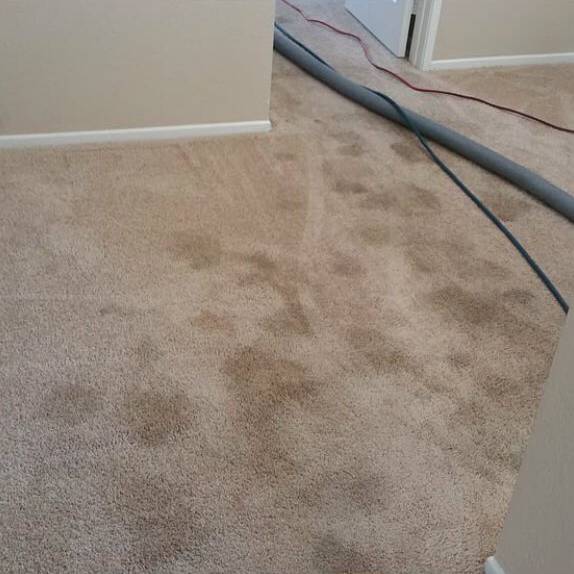 pet-urine-cleaning-upland-before-and-after